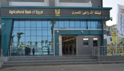 البنك الزراعي يبحث تعزيز التعاون مع صربيا