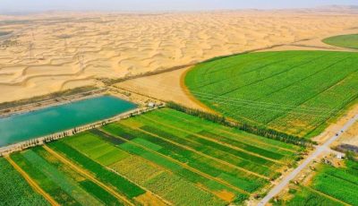 معجزة خضراء في صحراء تاكلامكان بالصين