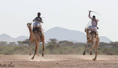 “الوسم” رمز للحفاظ على هوية الإبل بين القبائل في حلايب وشلاتين (صور)