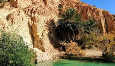 واحة الشبيكة..وجهة مثالية لاكتشاف جمال الواحات
