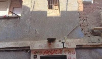 انهيار أجزاء وتشققات في جدران عقار من طابقين بالقليوبية