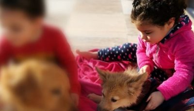 رحلوا قبل أن يصنعوا أحلامًا.. الصور الأولى للصغار ضحايا “فيلا الشروق”
