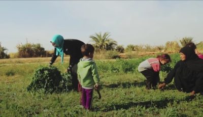 ممنوع دخول الرجال.. “السماحة” قرية للنساء فقط في جنوب مصر