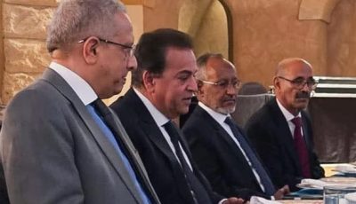 مصر حريصة على ترسيخ شراكات أفريقية مستدامة