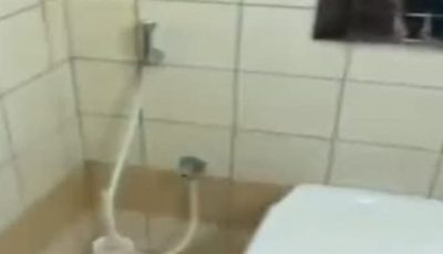 التحريات تكشف كواليس جريمة تصوير نساء داخل حمام سيدات في كافيه بالدقي