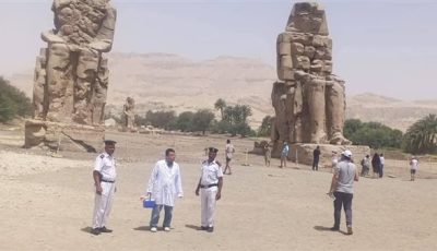 بالصور.. «بيطرى الأقصر» تحصن الكلاب الضالة بمنطقة تمثالى ممنون بالبر الغربي