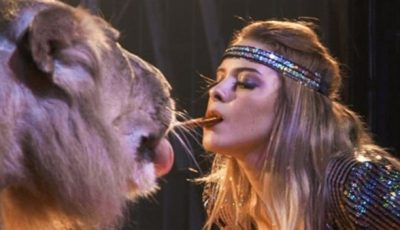 اليوم.. محاكمة أنوسة كوتة في واقعة هجوم نمر على مساعدها بسيرك طنطا