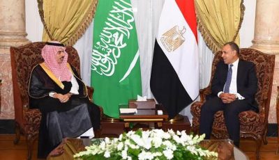 وزير الخارجية يبحث التطورات الإقليمية في المنطقة مع نظيره المصري