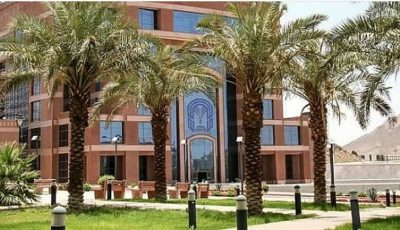 جامعة طيبة تعلن إطلاق 8 تخصصات جديدة ضمن برامج القبول للعام الجامعي 1447هـ
