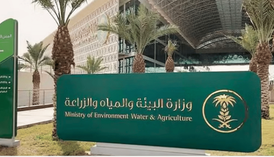 غدا.. بدء تطبيق ضوابط بيع المواشي الحية بالوزن باستخدام موازين معتمدة