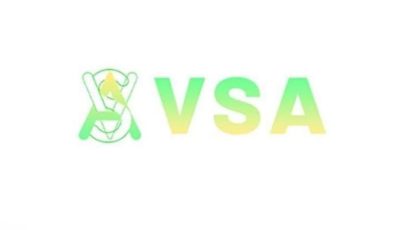 من حلاوة البدايات إلى الحفل الأخير.. كيف خدعت منصة VSA الإعلانية المصريين؟