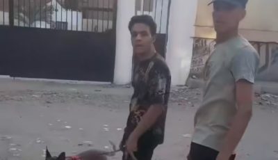 ترويع الصغار بكلب شرس يُحرك الأمن (فيديو)