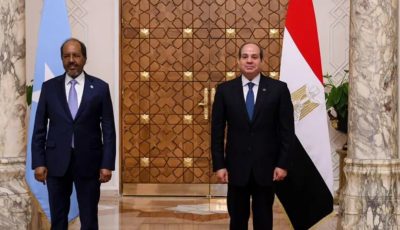 ماذا تعني زيارة الرئيس الصومالي إلى مصر؟