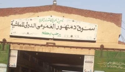 تزوير في أوراق رسمية.. سقوط مستأجر سوق الماشية بدمنهور