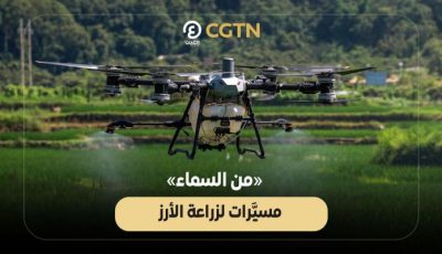 «من السماء».. طائرات دون طيار تزرع الأرز في الصين