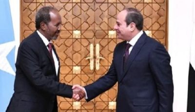السيسي ورئيس الصومال.. مباحثات حول القرن الأفريقي وأمن البحر الأحمر