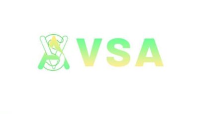 مصريون يستغيثون من منصة VSA.. النصب الإلكتروني مستمر