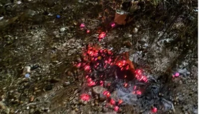 ضبط مواطن لإشعاله النار في أراضي الغطاء النباتي بمنطقة حائل