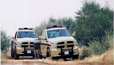 ضبط مواطن و 5 مقيمين لاقتلاع الأشجار دون ترخيص في محمية الملك سلمان