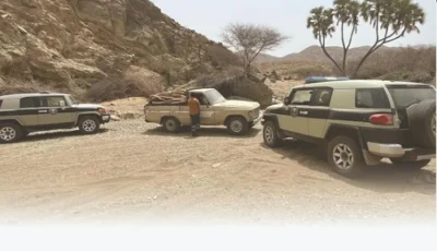 ضبط مخالف بحوزته حطب محلي معروض للبيع في عسير