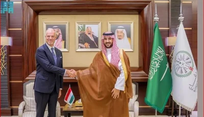وزير الدفاع يبحث العلاقات الثنائية مع نظيره المجري