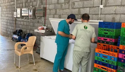 “بيئة الخرج” تضبط مسلخ دواجن عشوائي